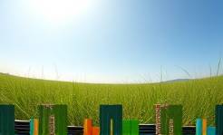 balanced trtp wellbeing, revitalizing, tai chi practice, photorealistic, an open field under a clear sky, highly detailed, rustling grass, delicate transitions, pastel greens, soft daylight, shot with a fisheye lens.